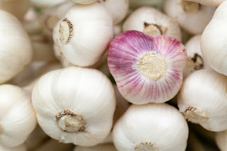 Read more about the article Garlic – A Granary of Nutrition