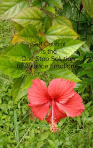 Read more about the article Improvise Self Control