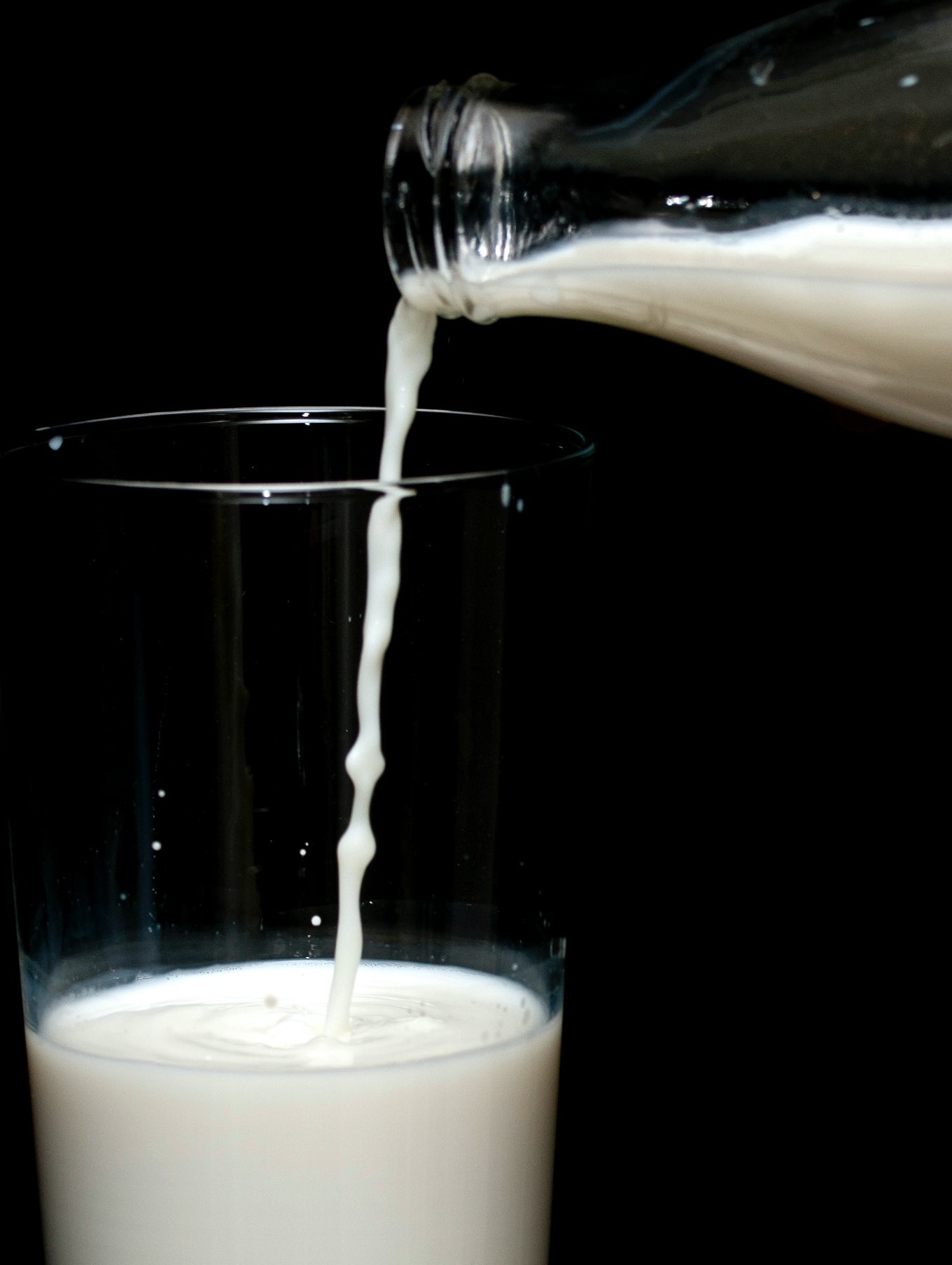 Read more about the article The Milk Factor